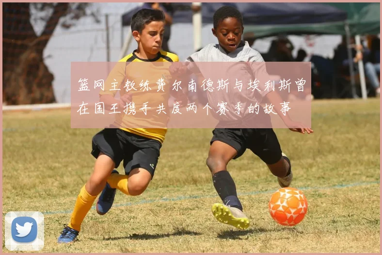 篮网主教练费尔南德斯与埃利斯曾在国王携手共度两个赛季的故事