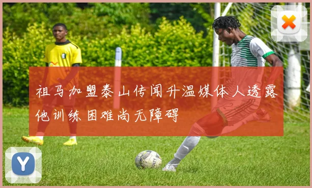 祖马加盟泰山传闻升温媒体人透露他训练困难尚无障碍