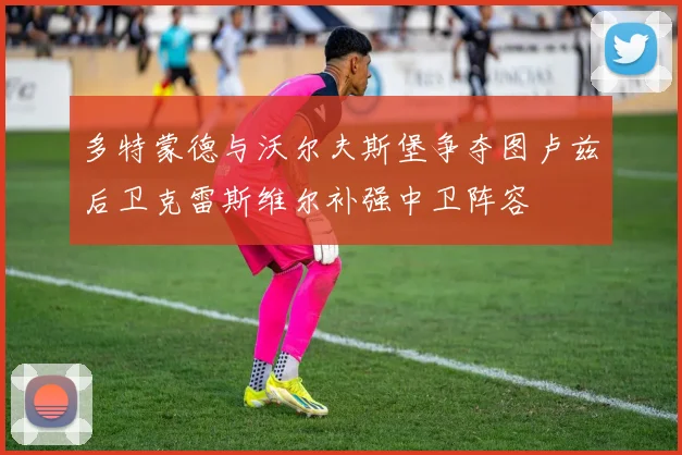 多特蒙德与沃尔夫斯堡争夺图卢兹后卫克雷斯维尔补强中卫阵容