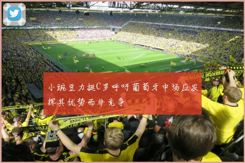 小豌豆力挺C罗呼吁葡萄牙中场应发挥其优势而非竞争