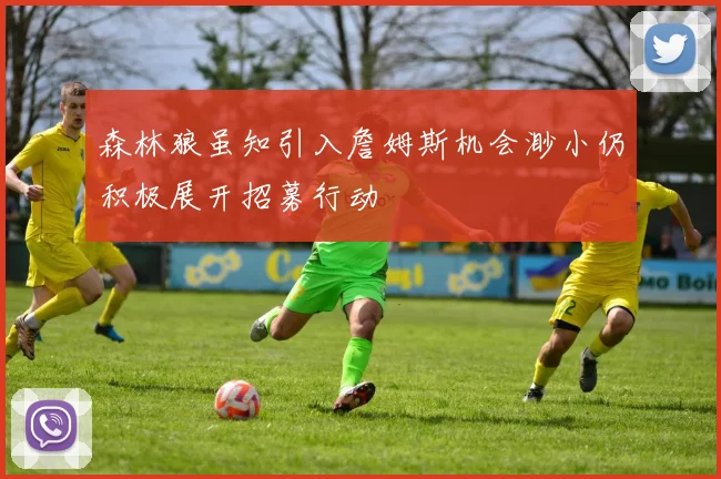 森林狼虽知引入詹姆斯机会渺小仍积极展开招募行动